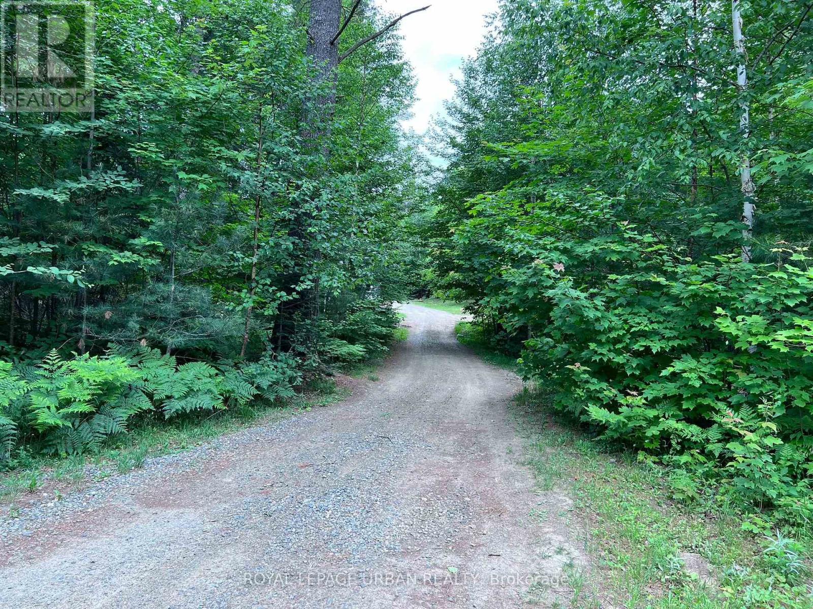 606 Rye Road, Parry Sound Remote Area, Ontario  P0A 1X0 - Photo 23 - X14101388