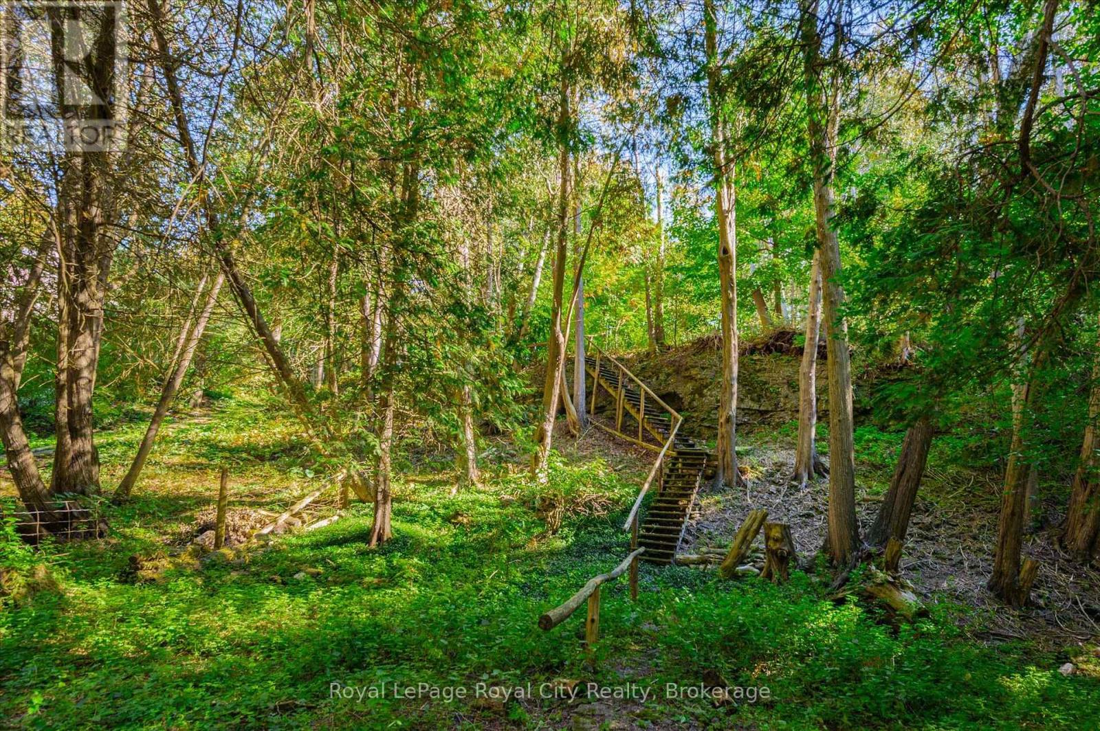 168 South River Road, Centre Wellington (Elora/salem), Ontario  N0B 1S0 - Photo 40 - X14101914