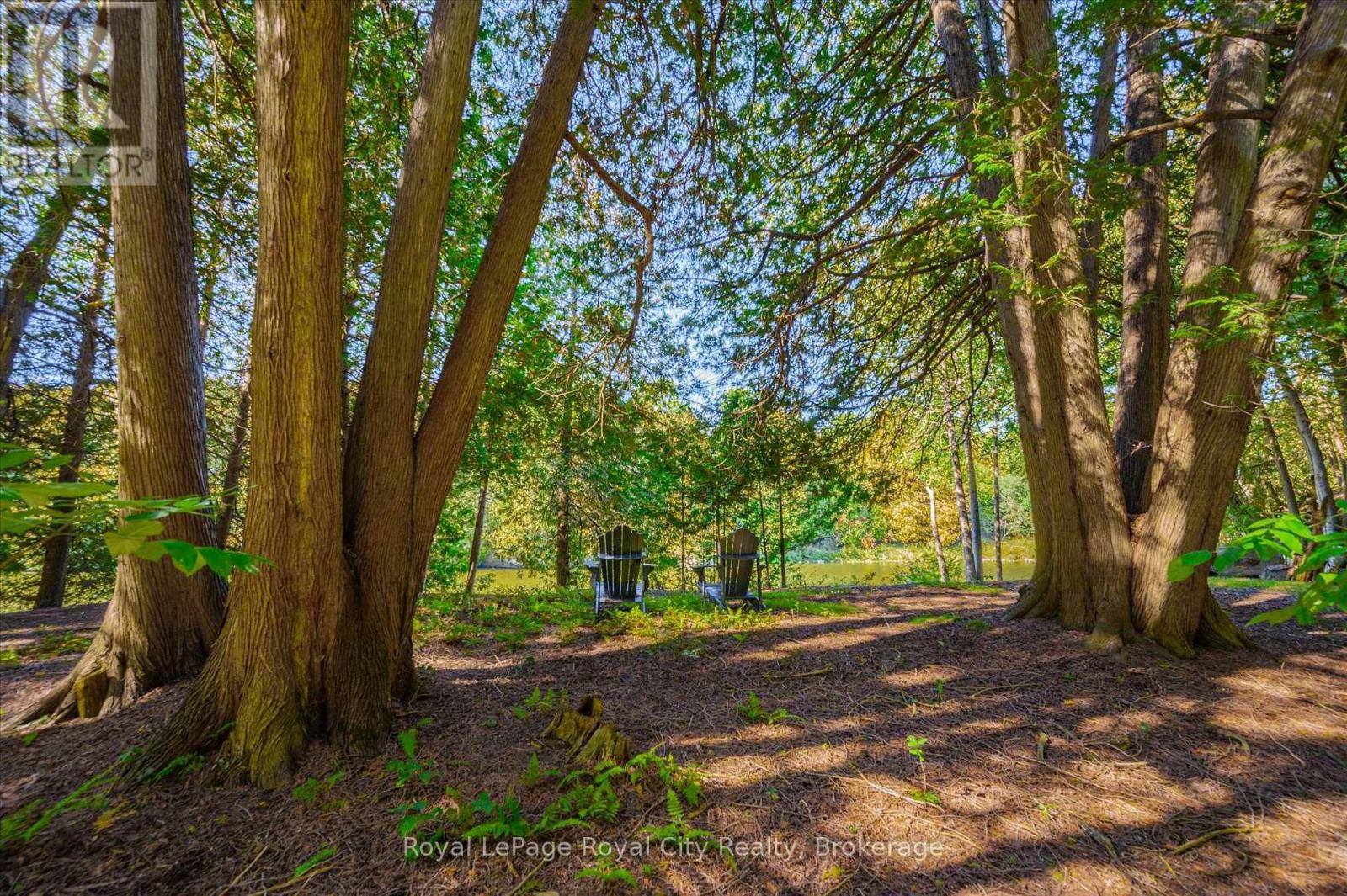 168 South River Road, Centre Wellington (Elora/salem), Ontario  N0B 1S0 - Photo 41 - X14101914