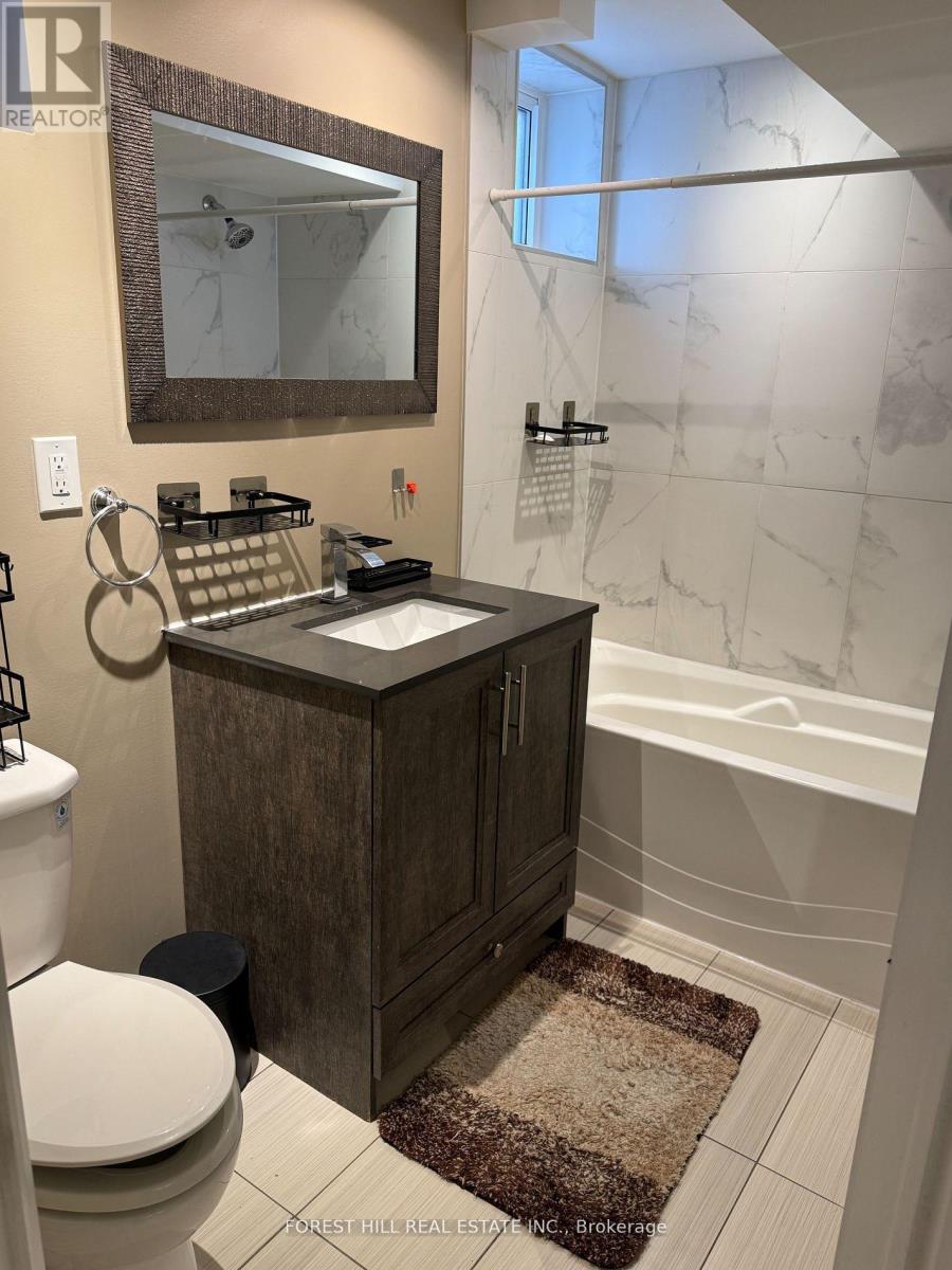 Lower - 166 Schell Avenue, Toronto, Ontario  M6E 2T1 - Photo 10 - W14101934