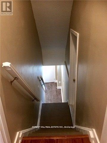 Lower - 166 Schell Avenue, Toronto, Ontario  M6E 2T1 - Photo 2 - W14101934