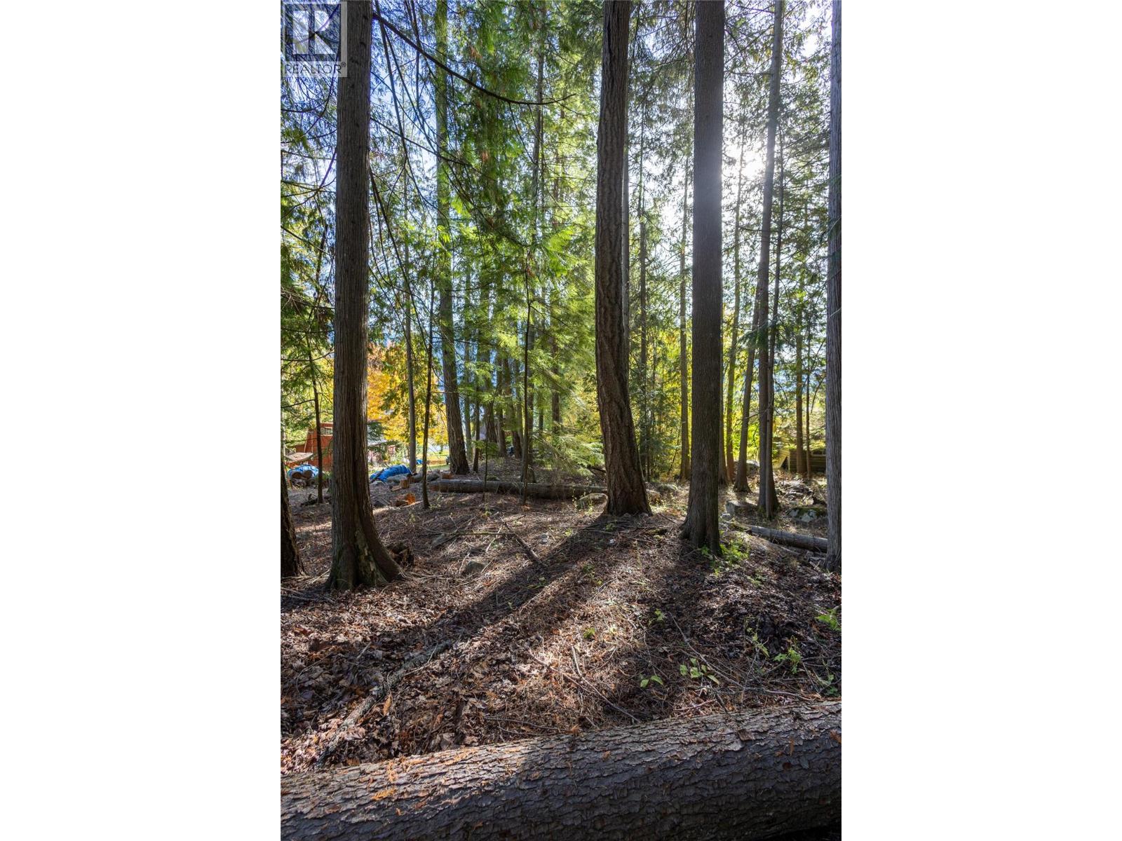 4318 Highway 3a Highway, Nelson, British Columbia  V1L 6N1 - Photo 17 - 10403796