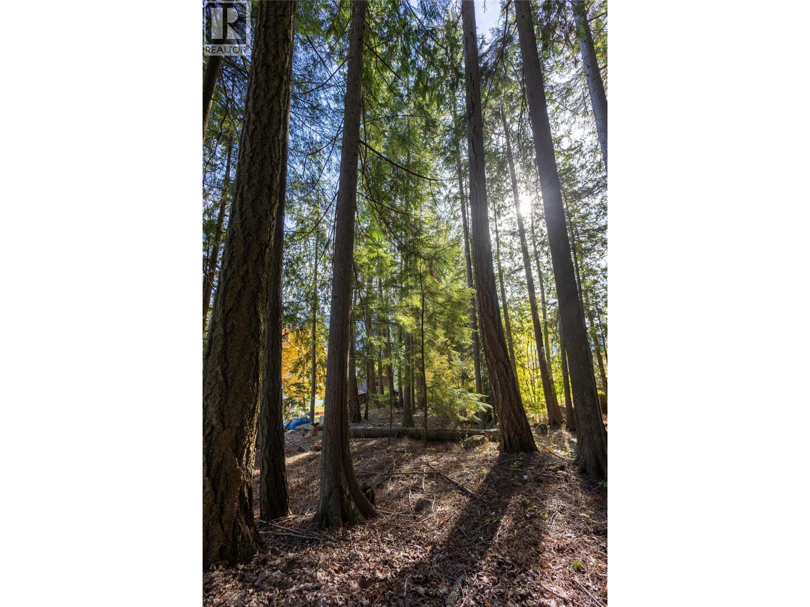 4318 Highway 3a Highway, Nelson, British Columbia  V1L 6N1 - Photo 16 - 10403796