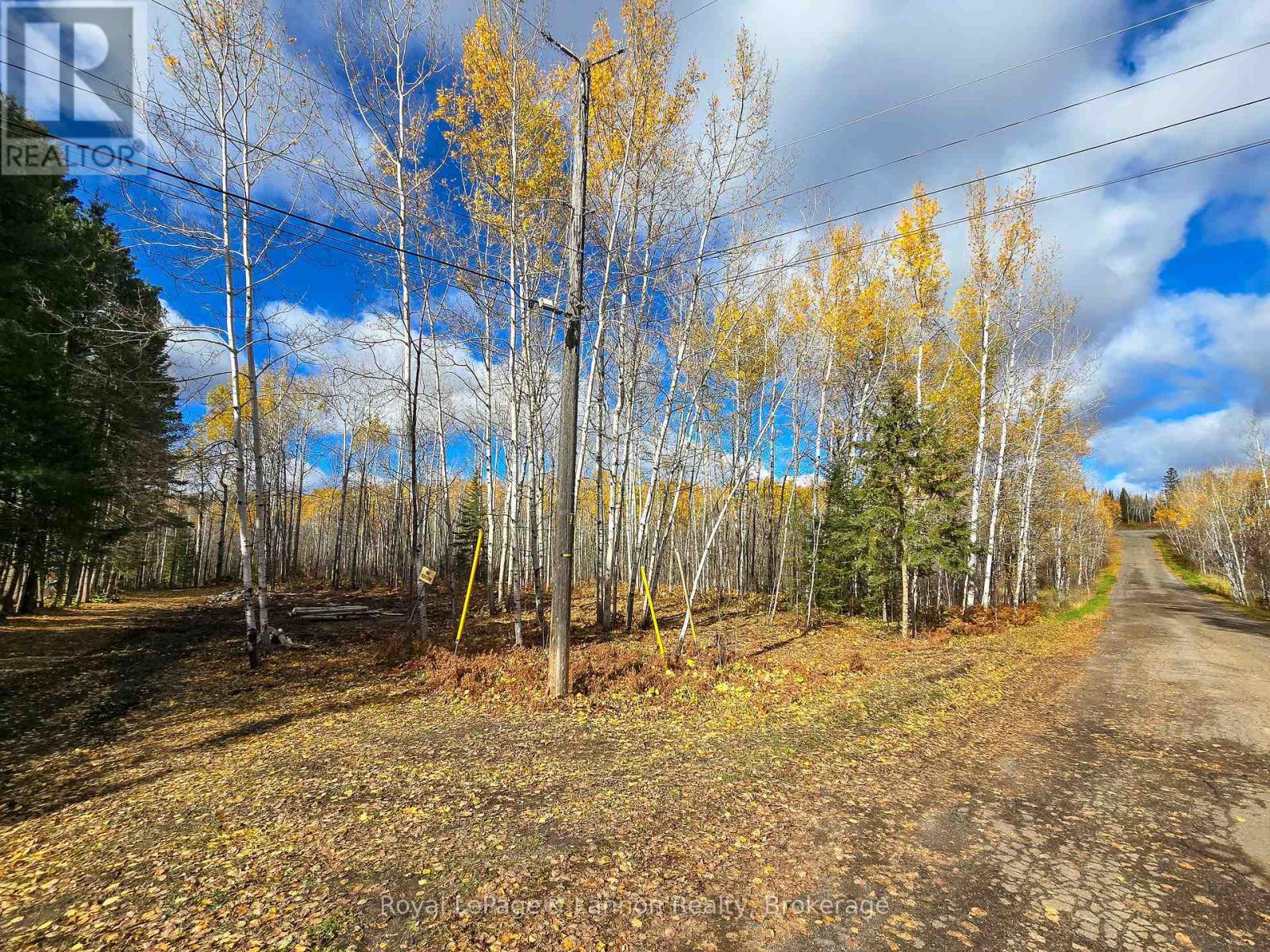 295 Beckwick Road, Thunder Bay, Ontario  P7G 1K7 - Photo 15 - X14102240
