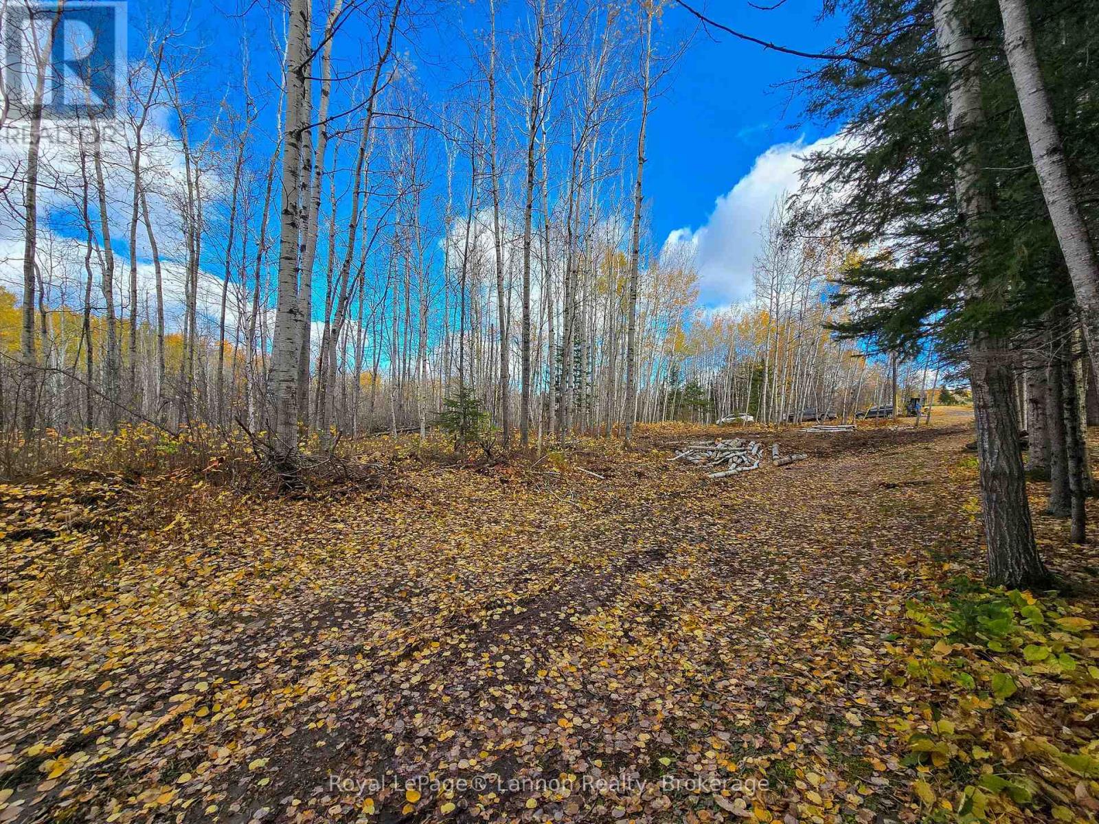 295 Beckwick Road, Thunder Bay, Ontario  P7G 1K7 - Photo 4 - X14102240