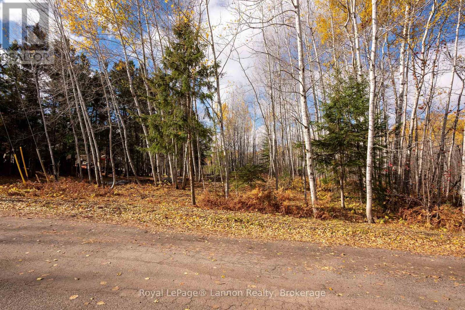 295 Beckwick Road, Thunder Bay, Ontario  P7G 1K7 - Photo 5 - X14102240