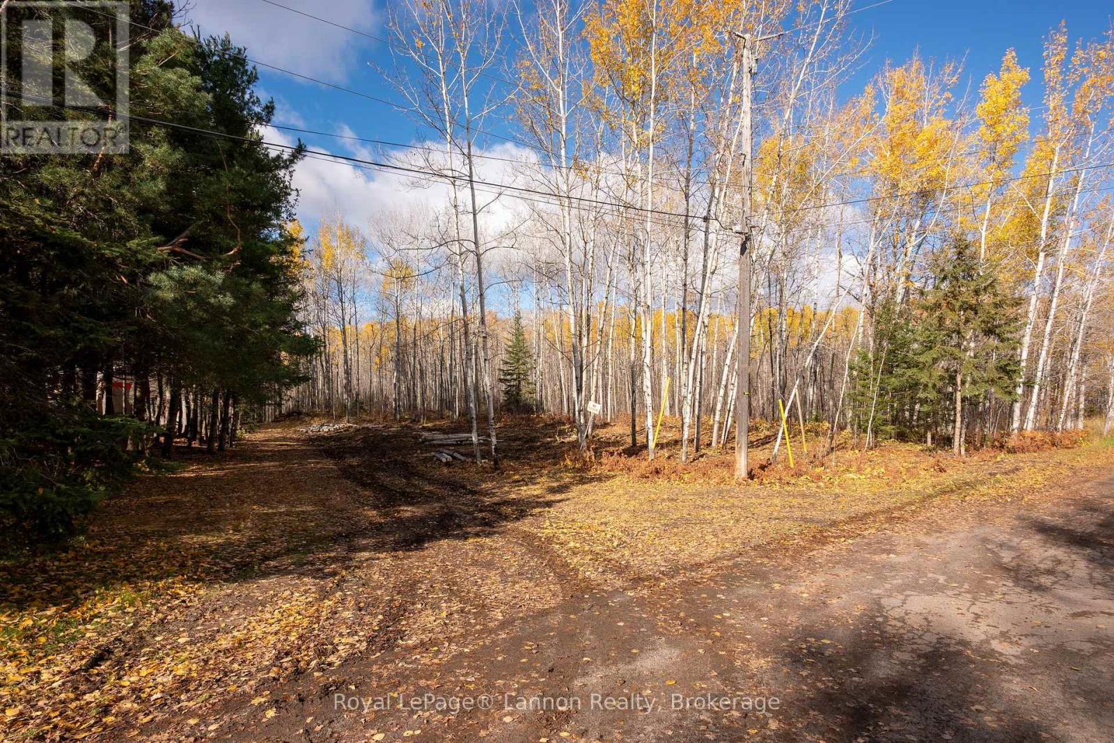 295 Beckwick Road, Thunder Bay, Ontario  P7G 1K7 - Photo 6 - X14102240