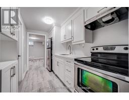 LOWER - 39A LIPPINCOTT STREET E, Toronto, Ontario