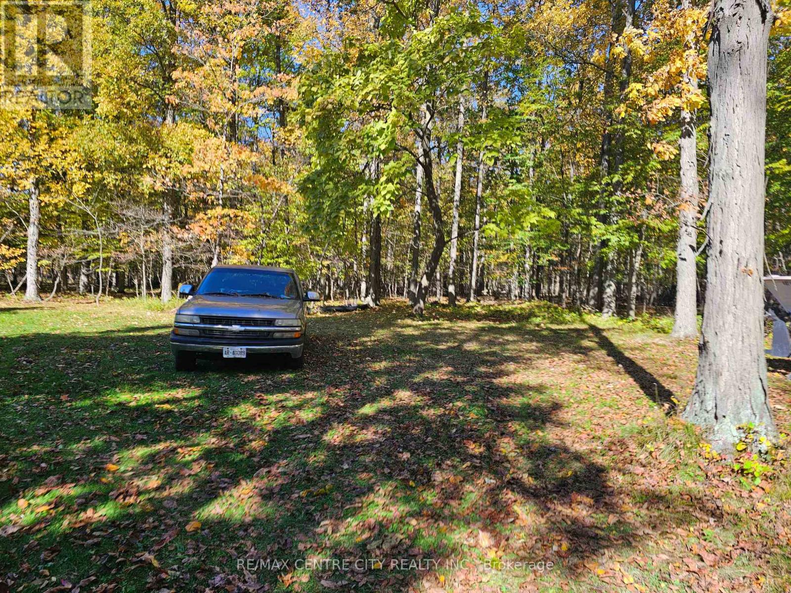 39306 Bush Line, Southwold, Ontario  N5P 3S9 - Photo 5 - X14096836