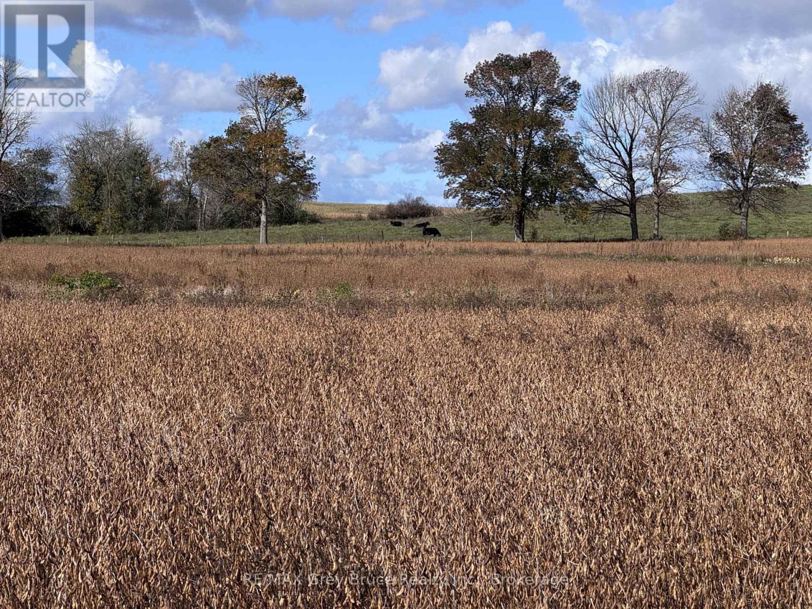1279 25 Elderslie Side Road, Arran-Elderslie, Ontario  N0H 1L0 - Photo 15 - X14102382