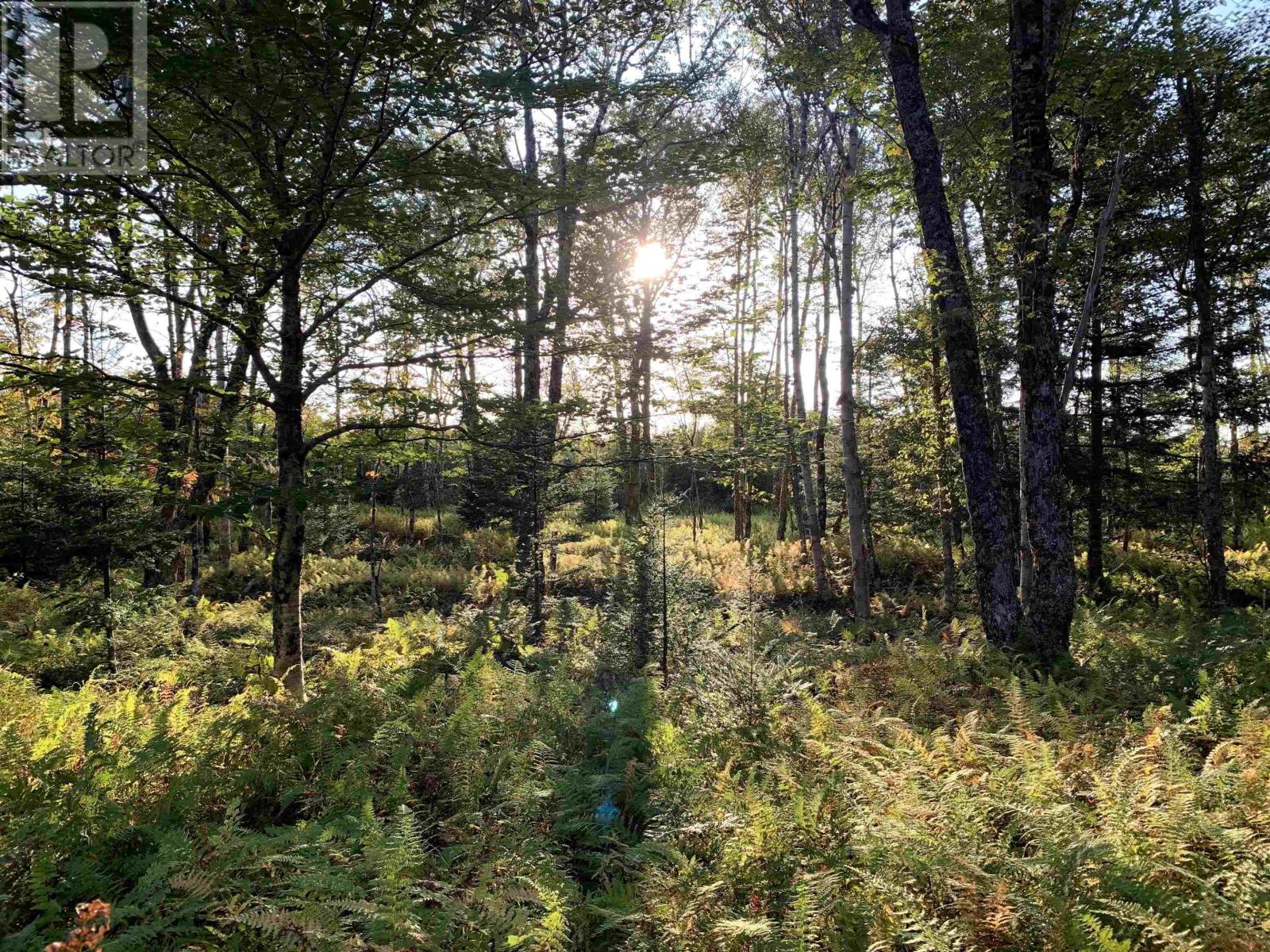 Block 1 No 316 Highway, Country Harbour, Nova Scotia  B0H 1J0 - Photo 19 - 202626327