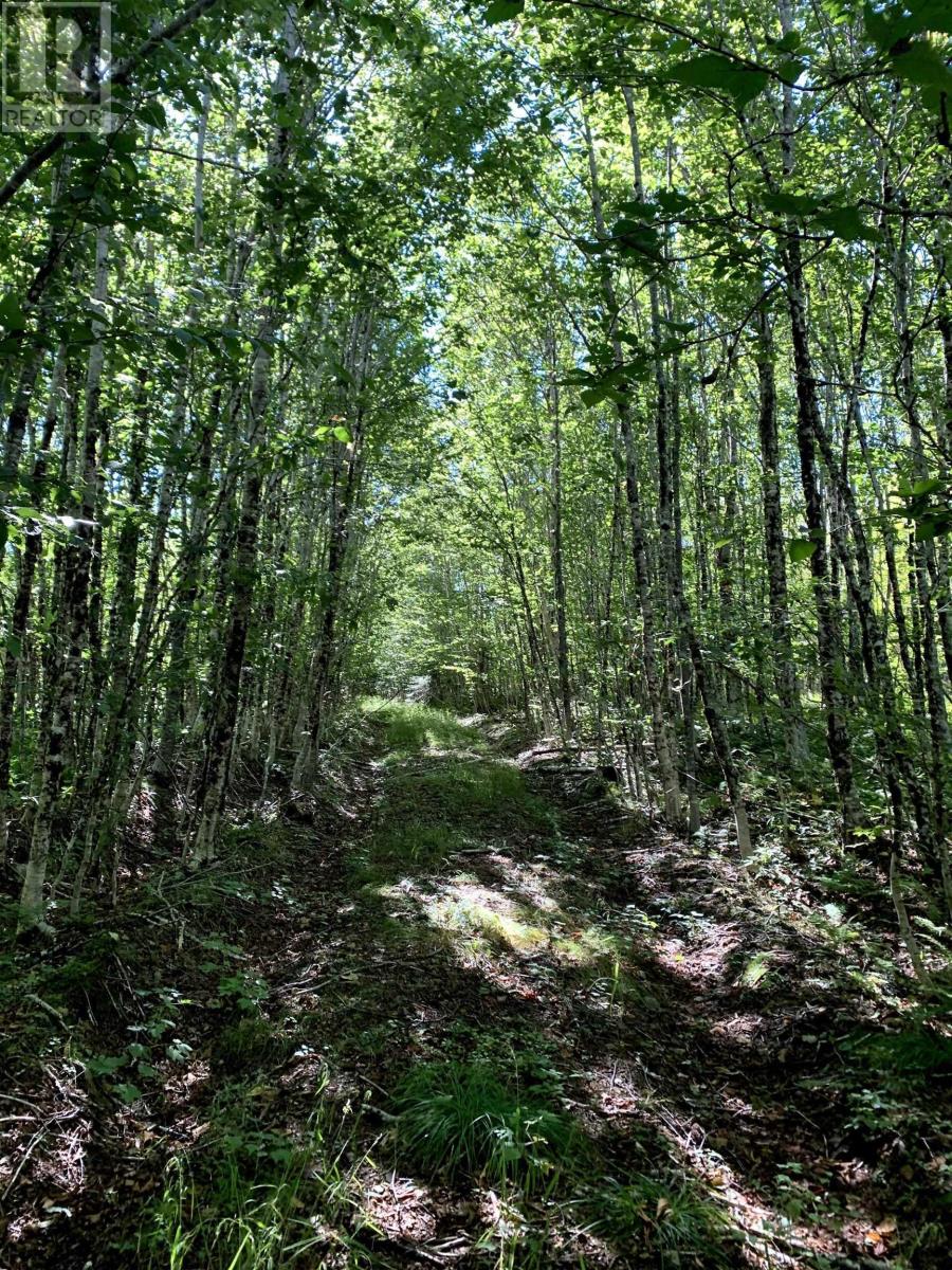 Block 1 No 316 Highway, Country Harbour, Nova Scotia  B0H 1J0 - Photo 11 - 202626327