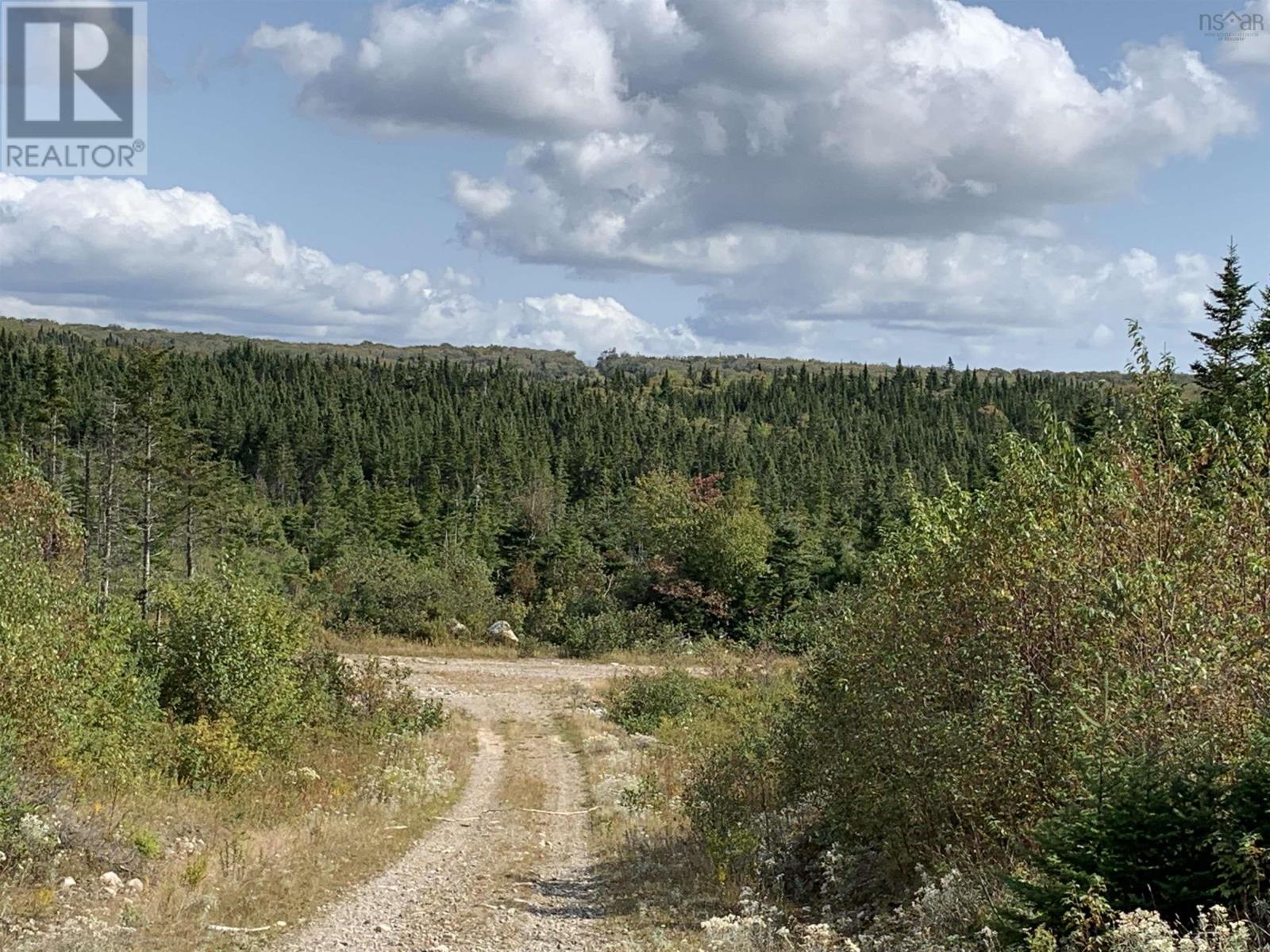Block 1 No 316 Highway, Country Harbour, Nova Scotia  B0H 1J0 - Photo 16 - 202626327