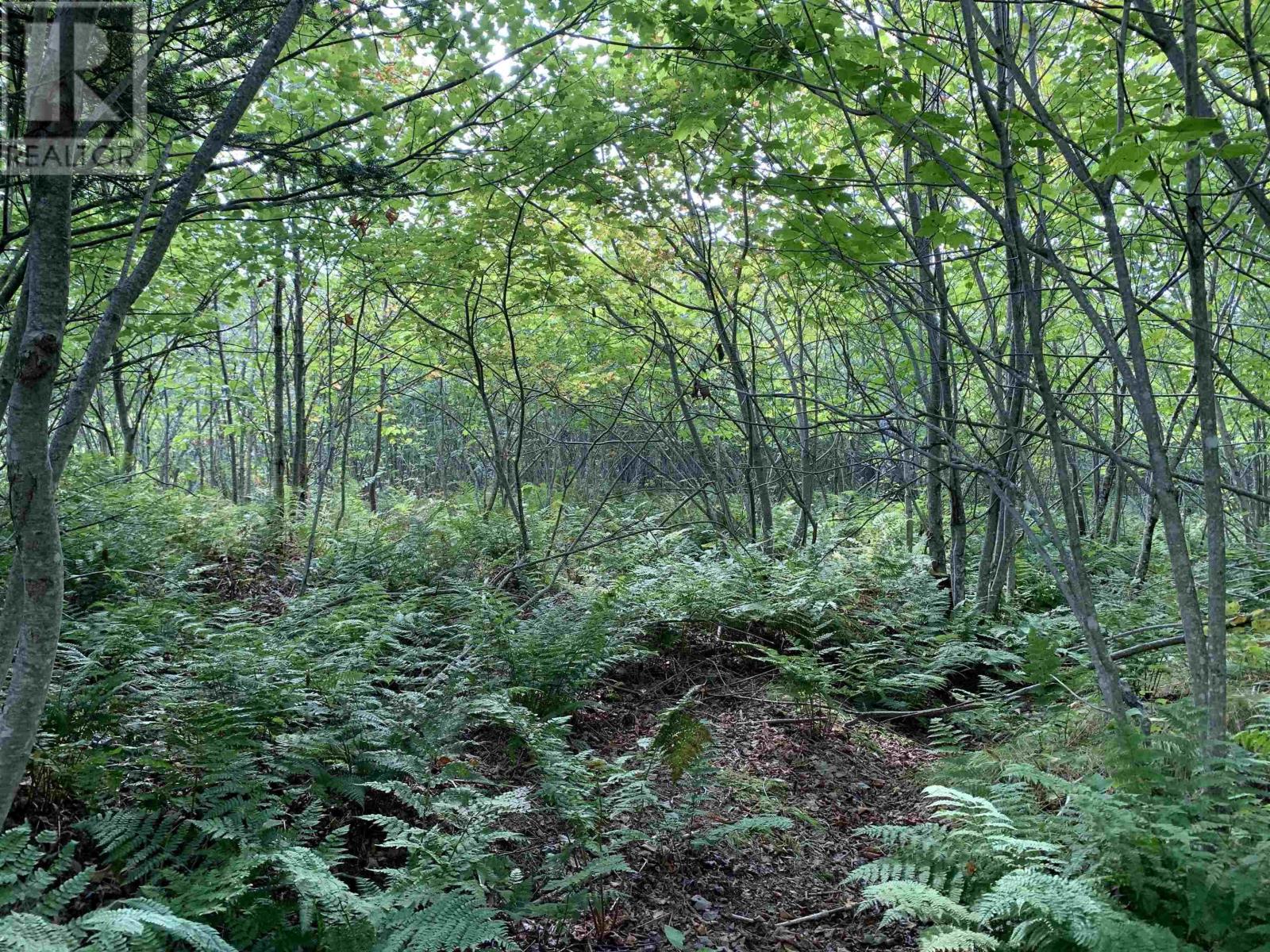 Block 1 No 316 Highway, Country Harbour, Nova Scotia  B0H 1J0 - Photo 15 - 202626327