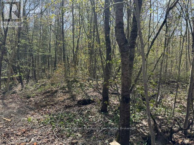 $79,90068 Mag View Drive, Armour, Ontario