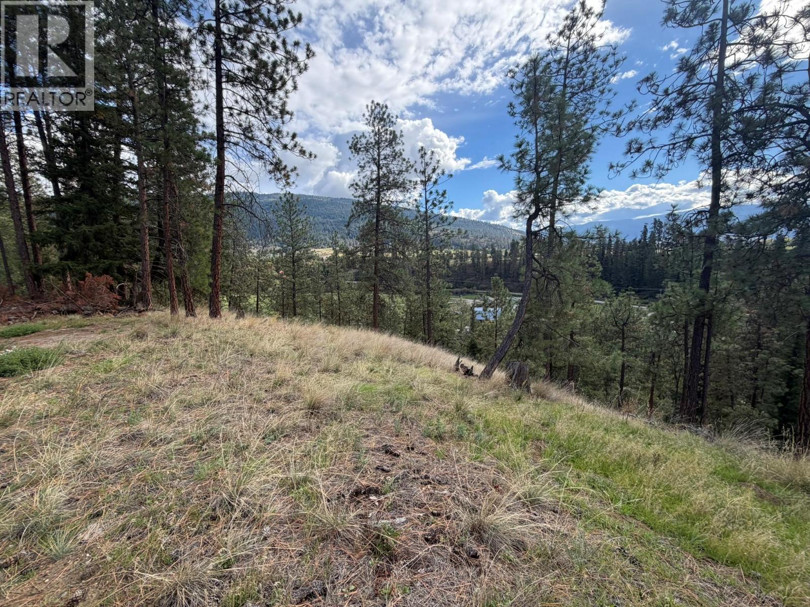 5440 Silver Star Road, Vernon, British Columbia  V1B 3K4 - Photo 49 - 10402078