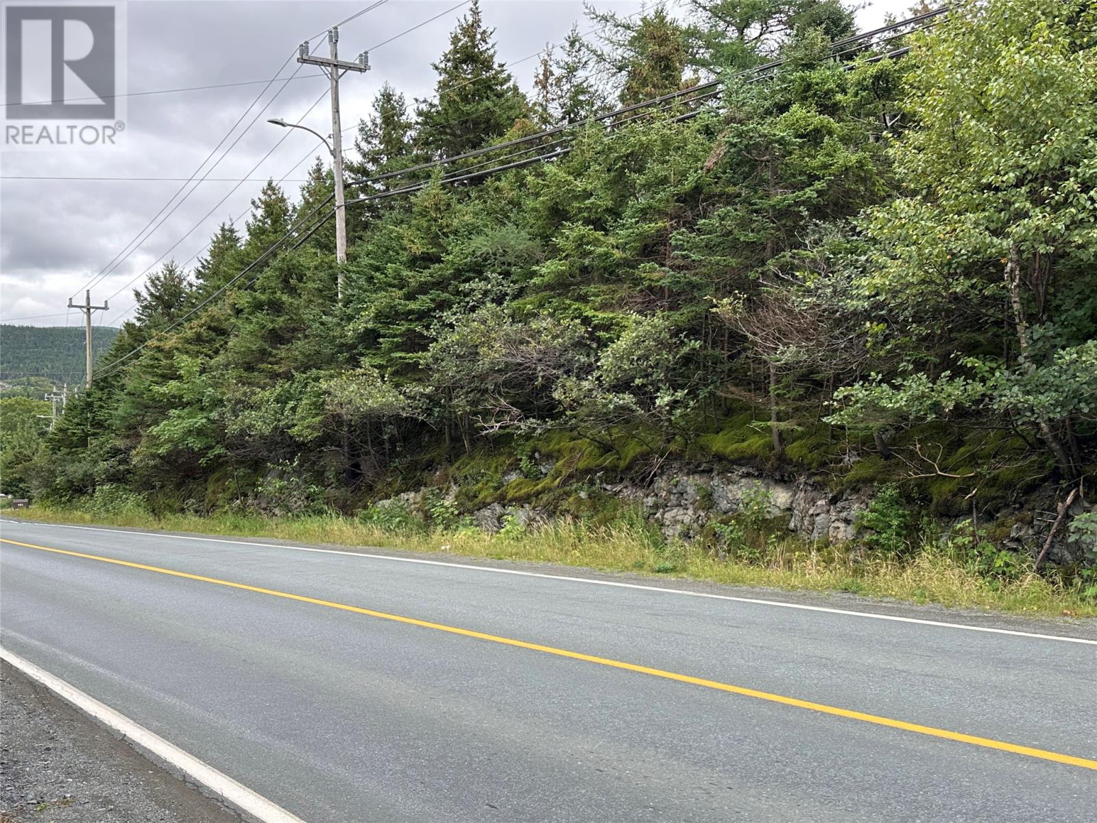 5 Corporal Jamie Murphy Drive, Conception Hr. — photo 2
