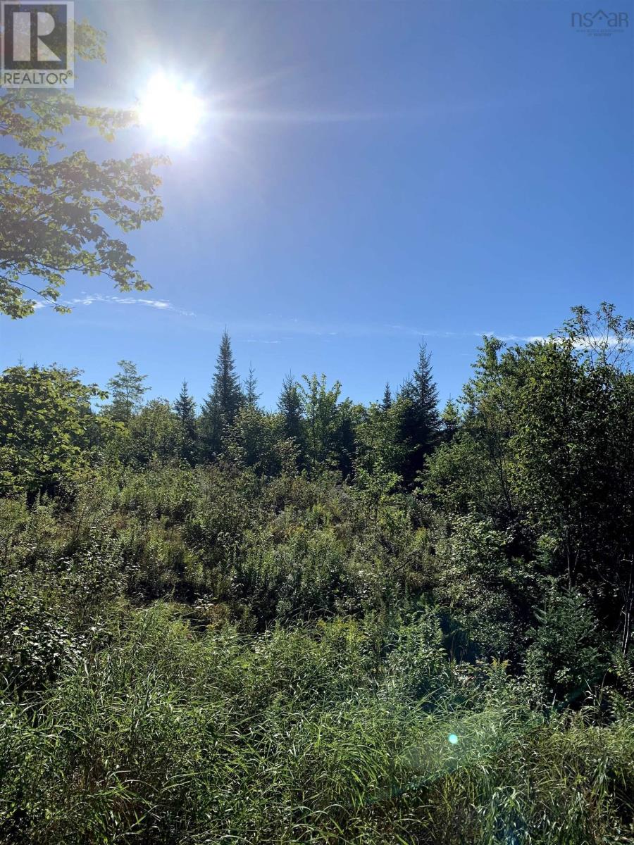 Block 4 No 316 Highway, Country Harbour, Nova Scotia  B0H 1J0 - Photo 15 - 202626337