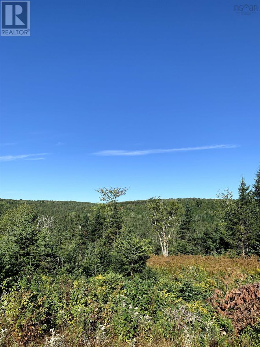 Block 7 No 316 Highway, Country Harbour, Nova Scotia  B0H 1J0 - Photo 5 - 202626346