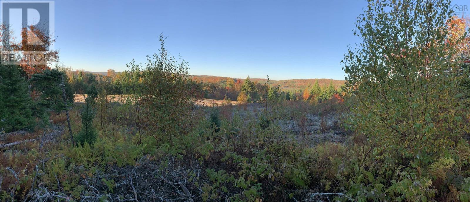 Block 7 No 316 Highway, Country Harbour, Nova Scotia  B0H 1J0 - Photo 9 - 202626346