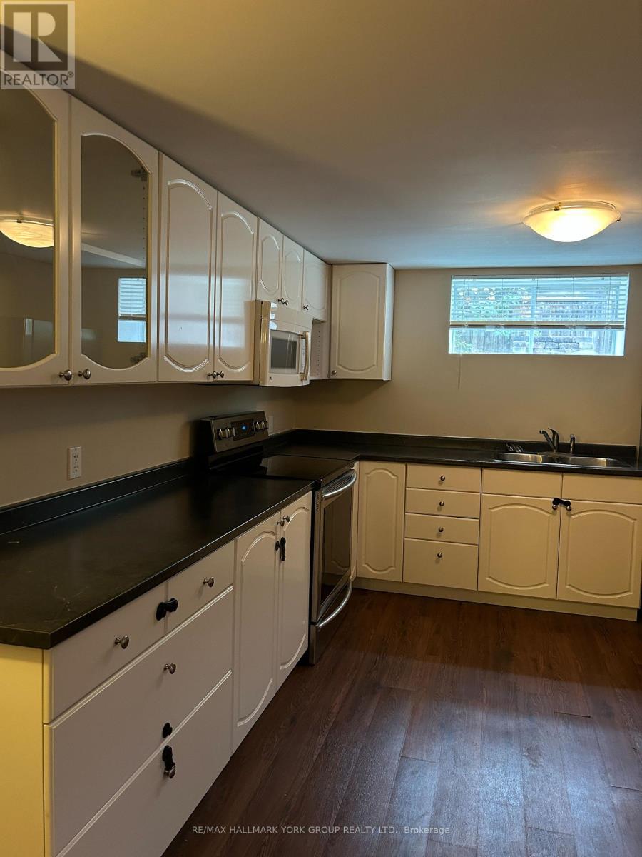 Lower - 140 Riveredge Drive, Georgina, Ontario  L4P 2P3 - Photo 4 - N14103194