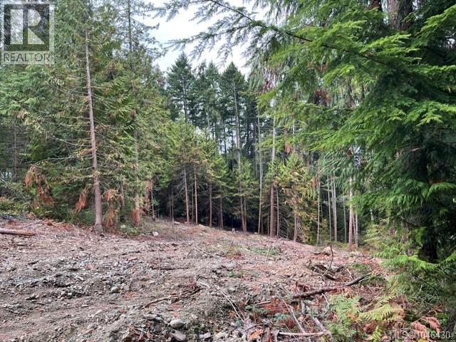 Lt 2 Braithwaite Dr, Cobble Hill, British Columbia  V0R 1L4 - Photo 3 - 1046430