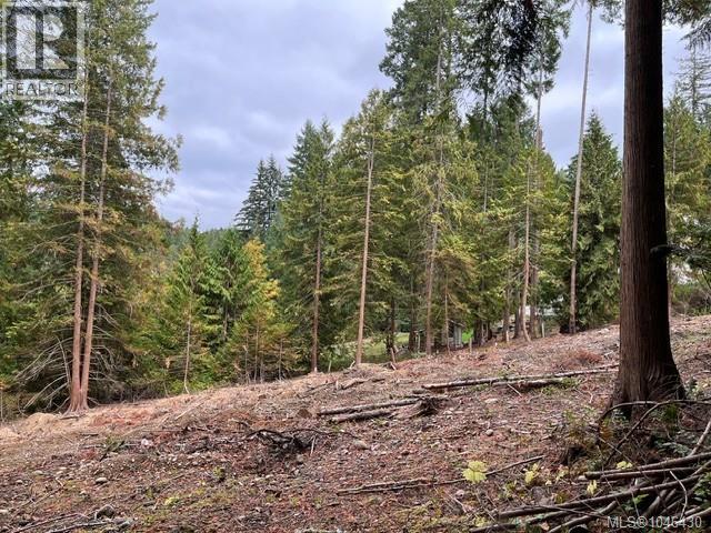 Lt 2 Braithwaite Dr, Cobble Hill, British Columbia  V0R 1L4 - Photo 4 - 1046430
