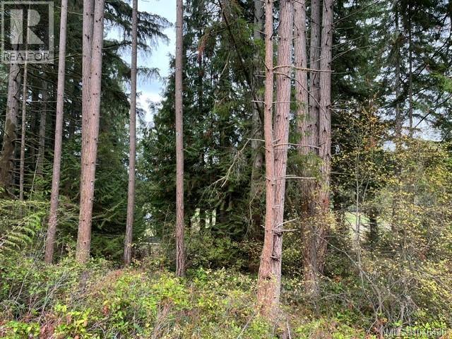 Lt 2 Braithwaite Dr, Cobble Hill, British Columbia  V0R 1L4 - Photo 8 - 1046430