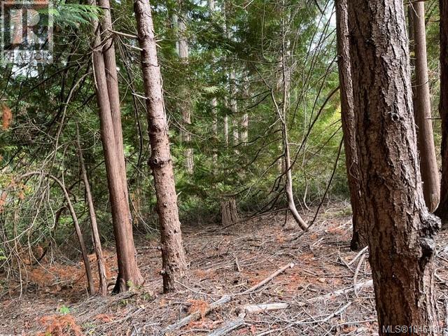 Lt 2 Braithwaite Dr, Cobble Hill, British Columbia  V0R 1L4 - Photo 7 - 1046430
