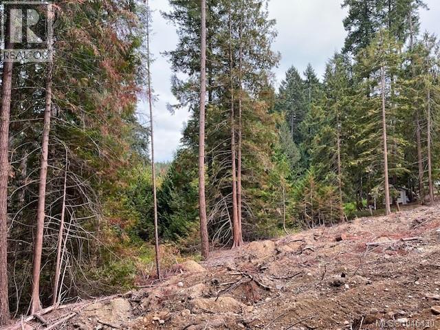 Lt 2 Braithwaite Dr, Cobble Hill, British Columbia  V0R 1L4 - Photo 32 - 1046430