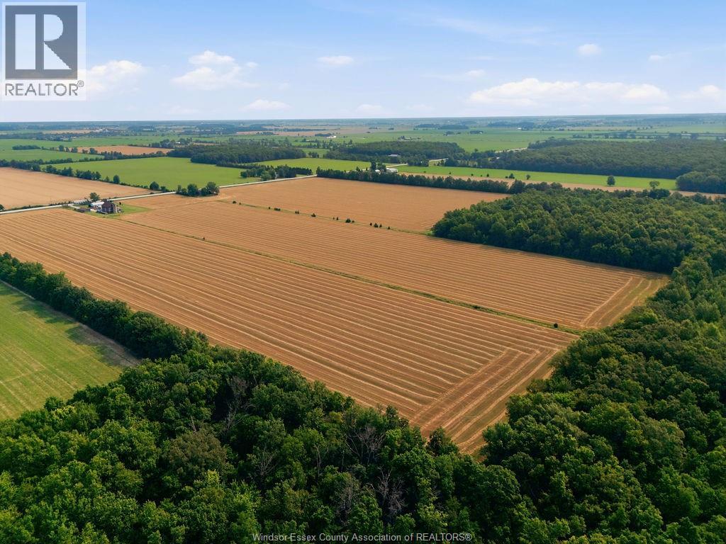 7919 County Road 18 W, Essex, Ontario  N0R 1B0 - Photo 6 - 26025932