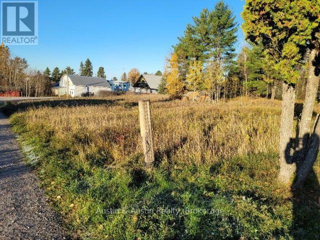 0 Lena Lane, Kenora Remote Area, Ontario  P0V 2W0 - Photo 2 - X14099412