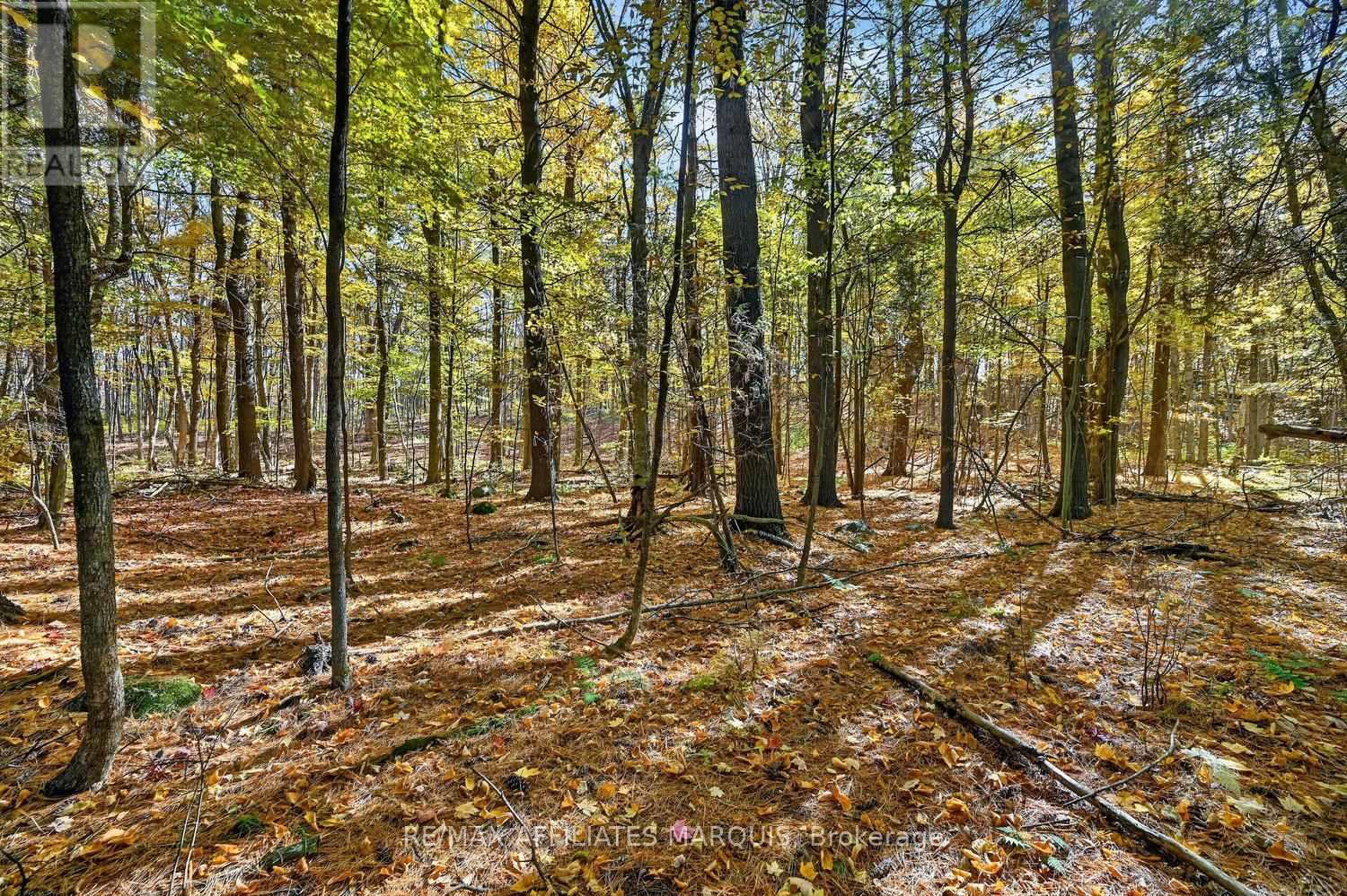 00 Fortune Line Road, Rideau Lakes, Ontario  K0E 1N0 - Photo 24 - X14103700
