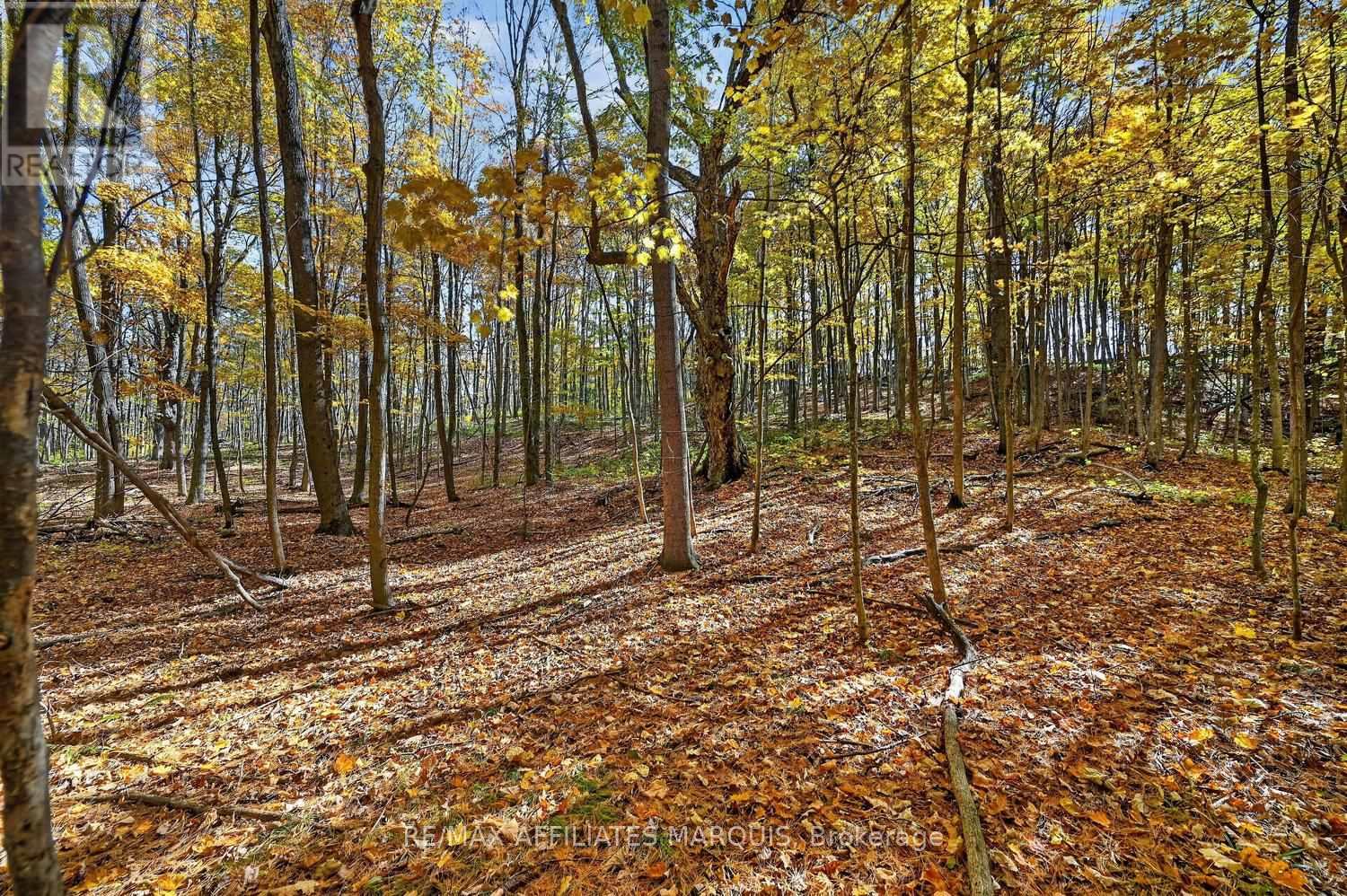 00 Fortune Line Road, Rideau Lakes, Ontario  K0E 1N0 - Photo 25 - X14103700