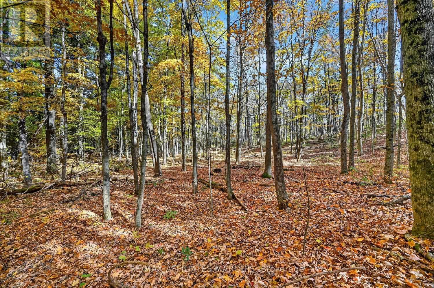 00 Fortune Line Road, Rideau Lakes, Ontario  K0E 1N0 - Photo 26 - X14103700
