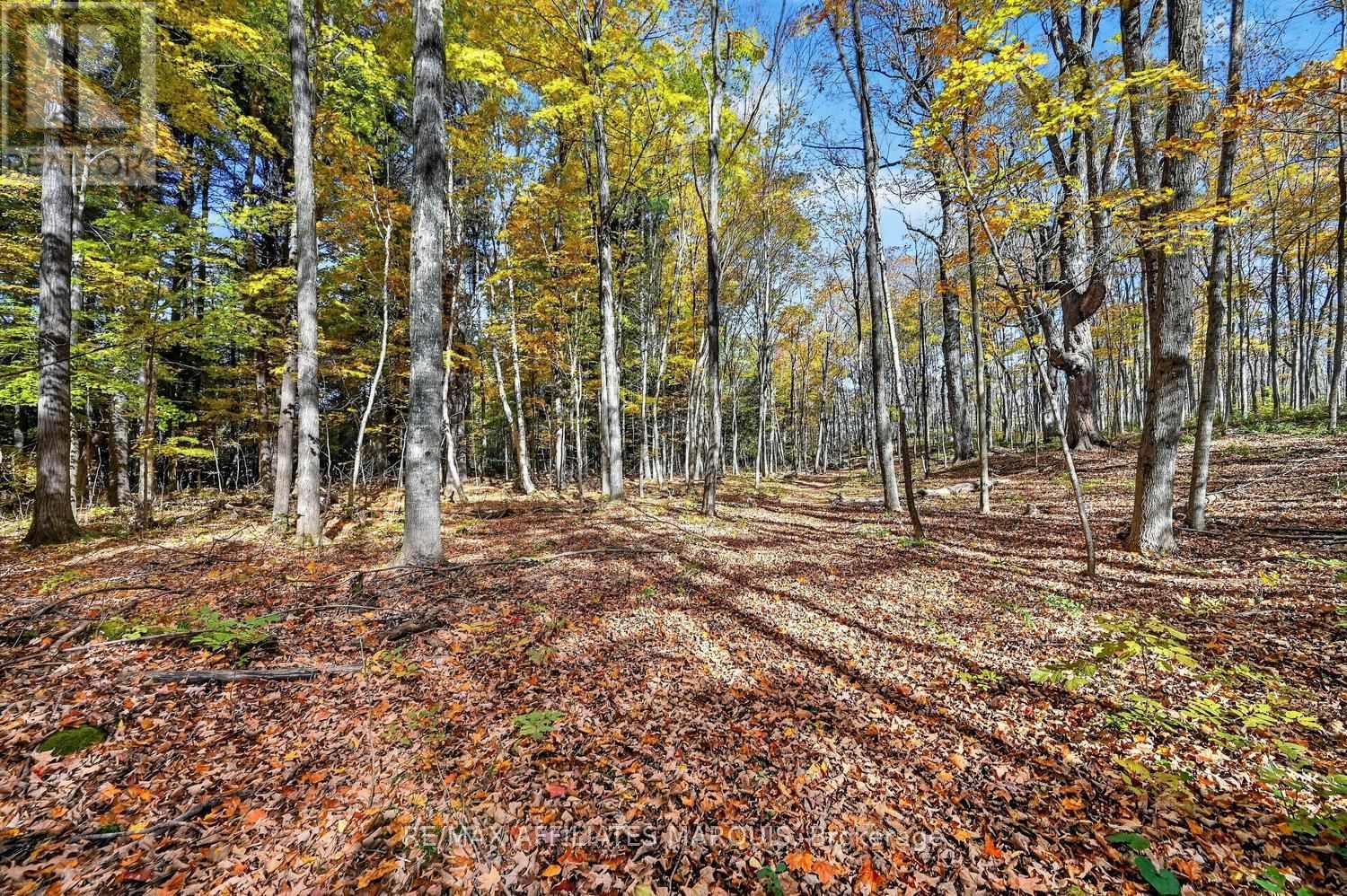 00 Fortune Line Road, Rideau Lakes, Ontario  K0E 1N0 - Photo 27 - X14103700