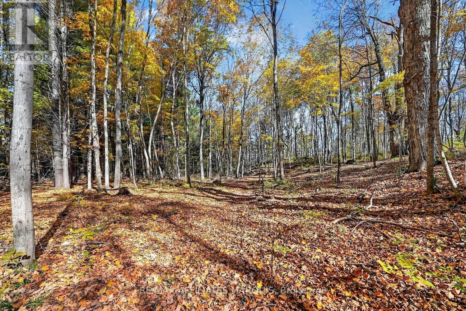 00 Fortune Line Road, Rideau Lakes, Ontario  K0E 1N0 - Photo 28 - X14103700