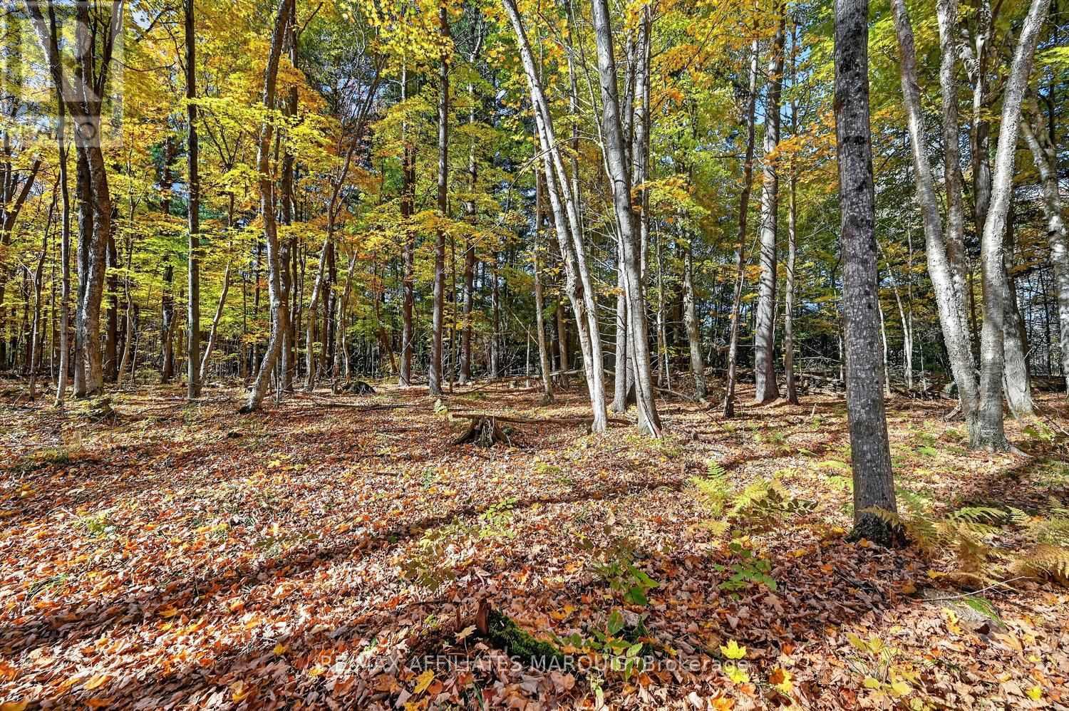 00 Fortune Line Road, Rideau Lakes, Ontario  K0E 1N0 - Photo 30 - X14103700