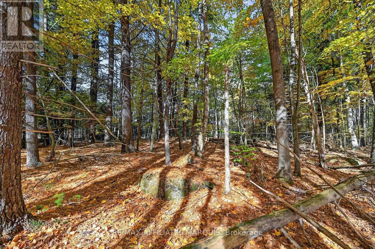 00 Fortune Line Road, Rideau Lakes, Ontario  K0E 1N0 - Photo 31 - X14103700