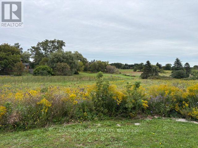 802 Highway 6, Haldimand, Ontario  N3W 1M8 - Photo 7 - X14103550