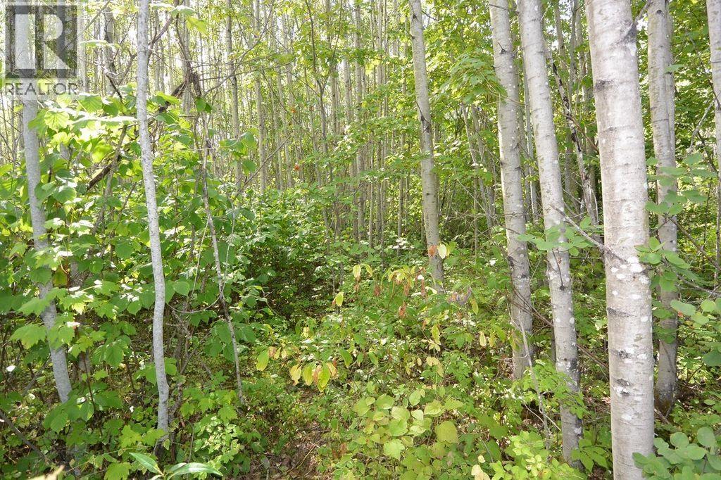 Lot 13 Brewster Street, New Hazelton, British Columbia  V0J 2J0 - Photo 3 - R3177022