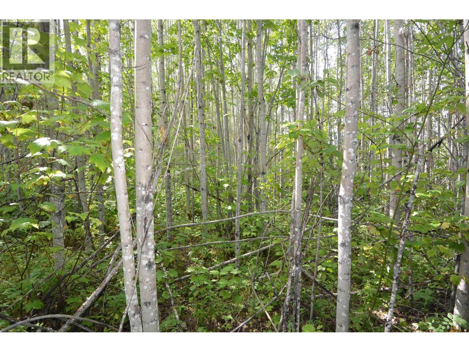 Lot 13 Brewster Street, New Hazelton, British Columbia  V0J 2J0 - Photo 4 - R3177022