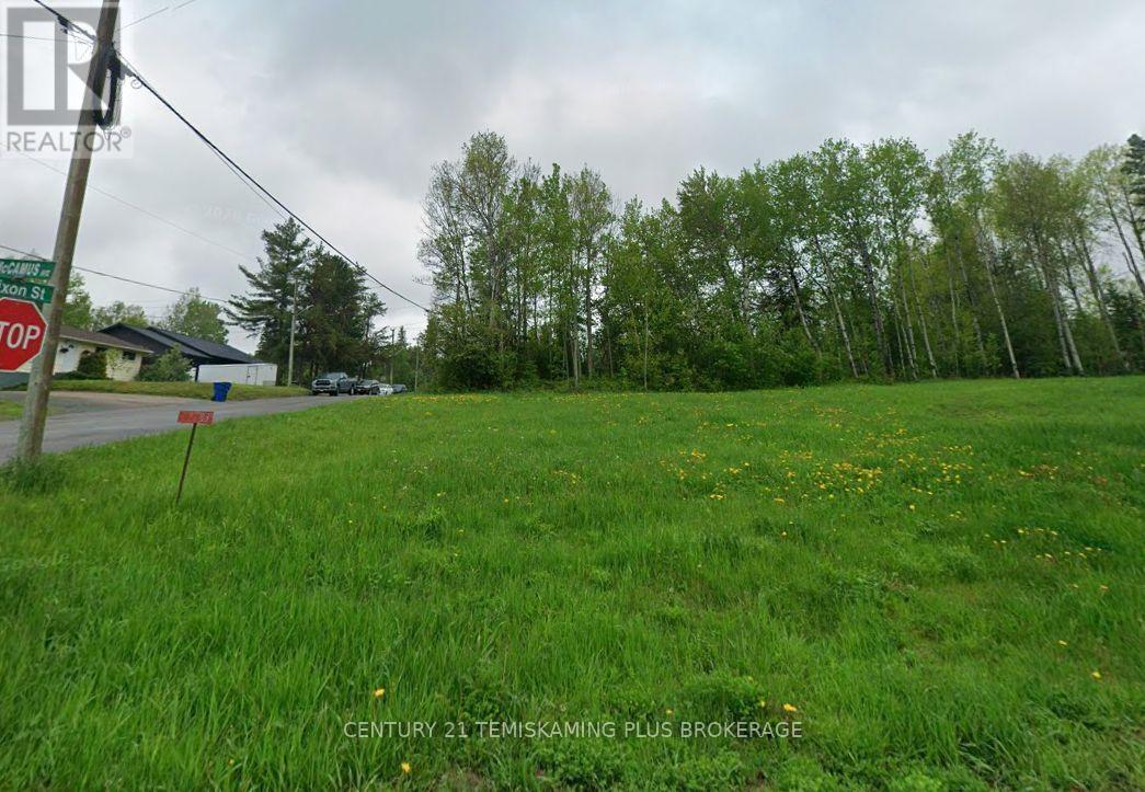 520 Mccamus Avenue, Temiskaming Shores, Ontario  P0J 1P0 - Photo 3 - T14103828