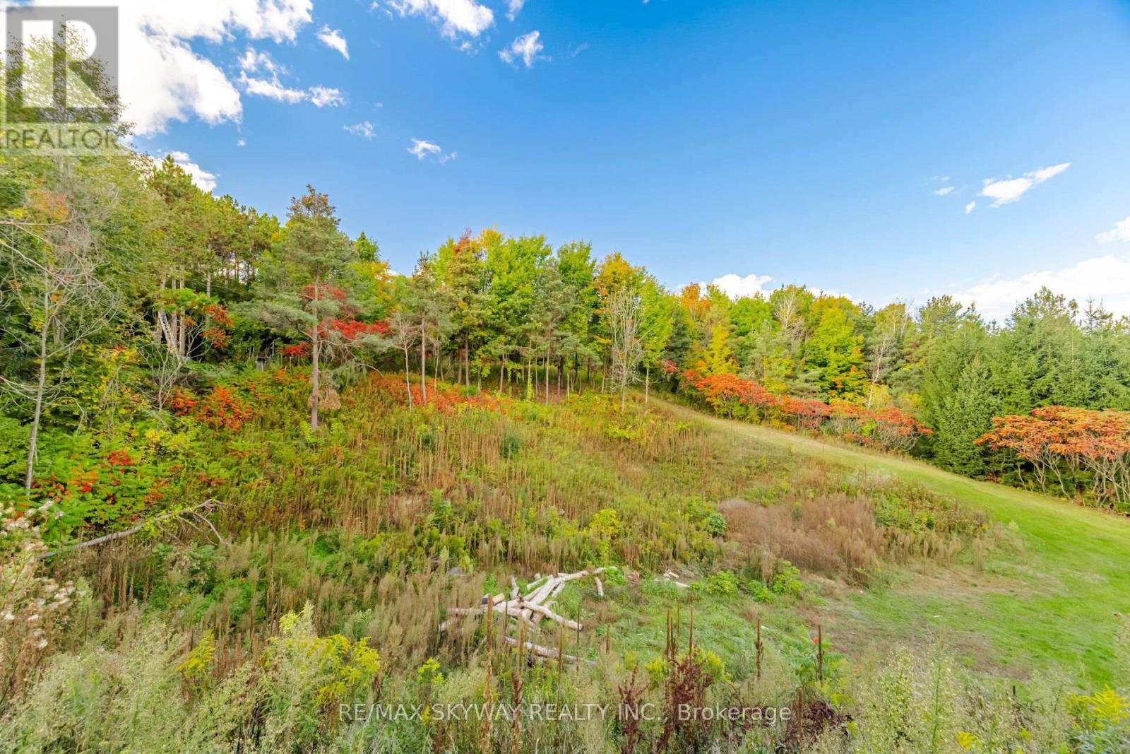 9476 Highway 9, Adjala-Tosorontio, Ontario  L0G 1W0 - Photo 46 - N14029258