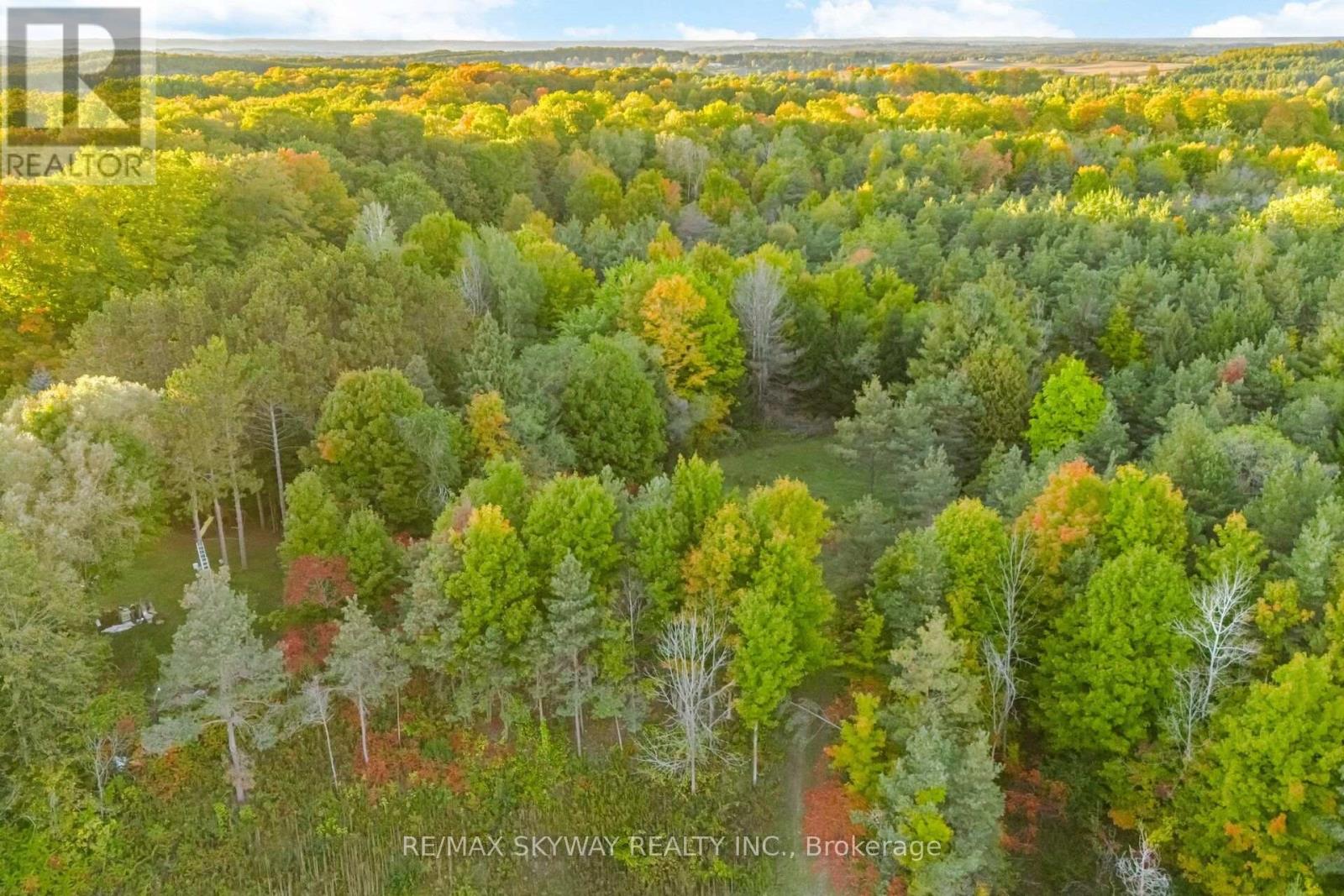 9476 Highway 9, Adjala-Tosorontio, Ontario  L0G 1W0 - Photo 49 - N14029258