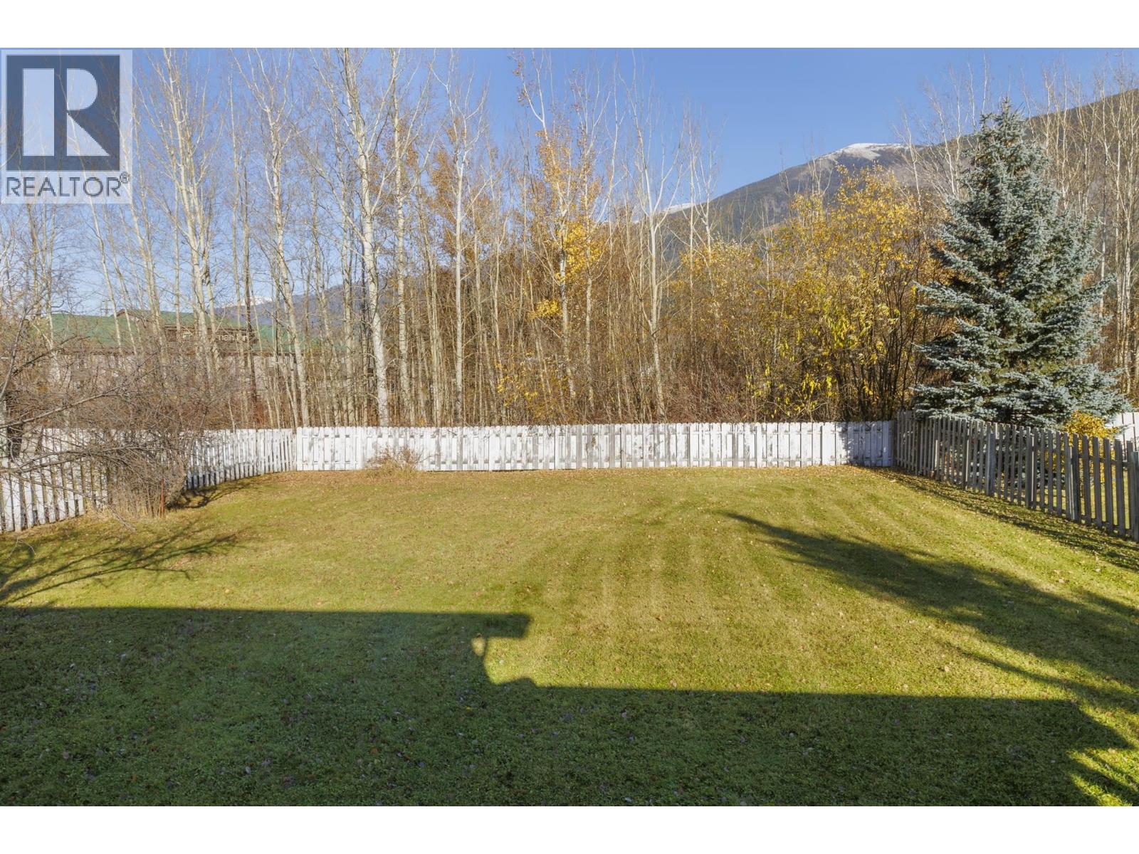 1115 Mcbride Crescent, Mcbride, British Columbia  V0J 2E0 - Photo 11 - R3177573