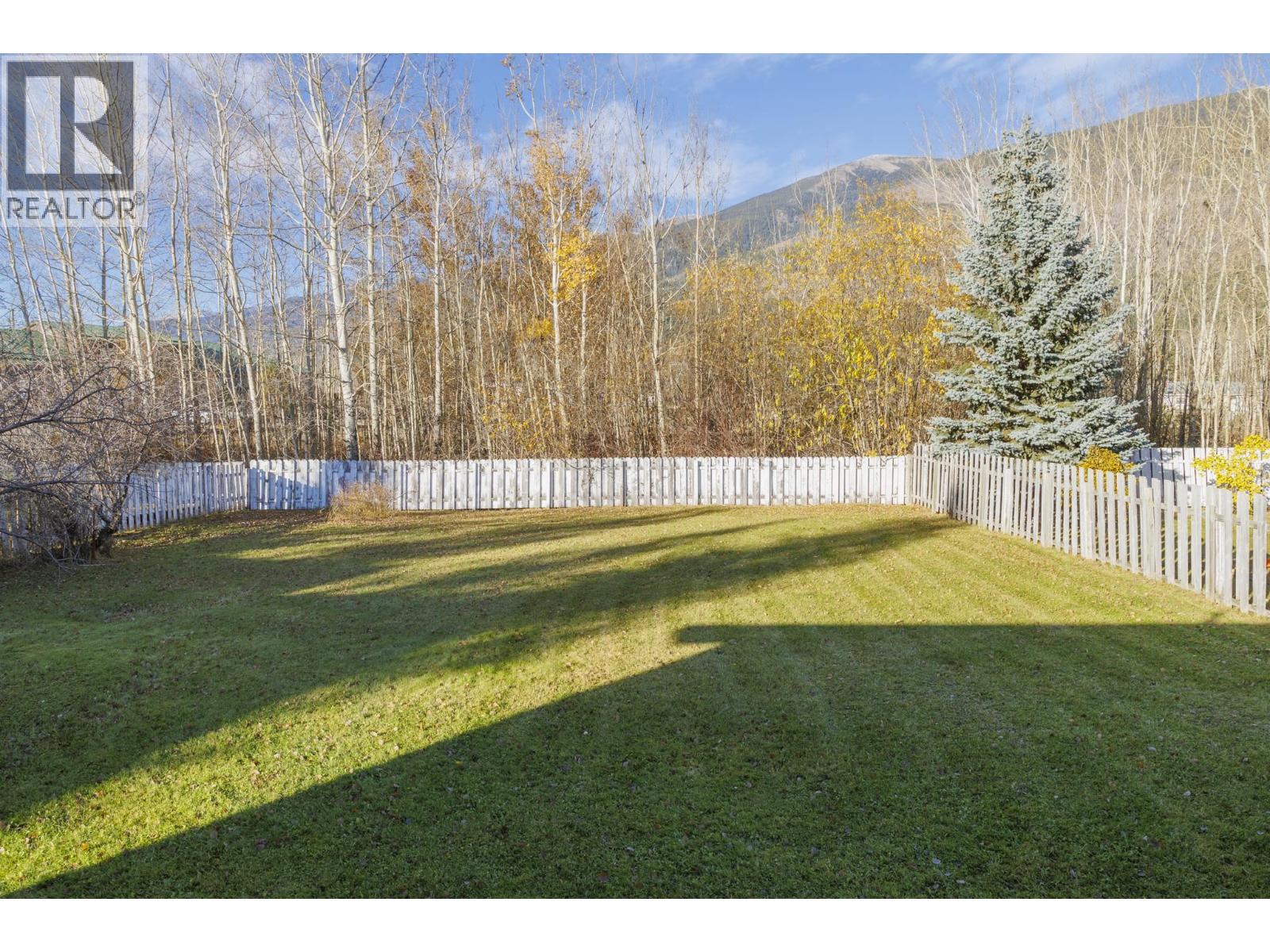 1115 Mcbride Crescent, Mcbride, British Columbia  V0J 2E0 - Photo 31 - R3177573