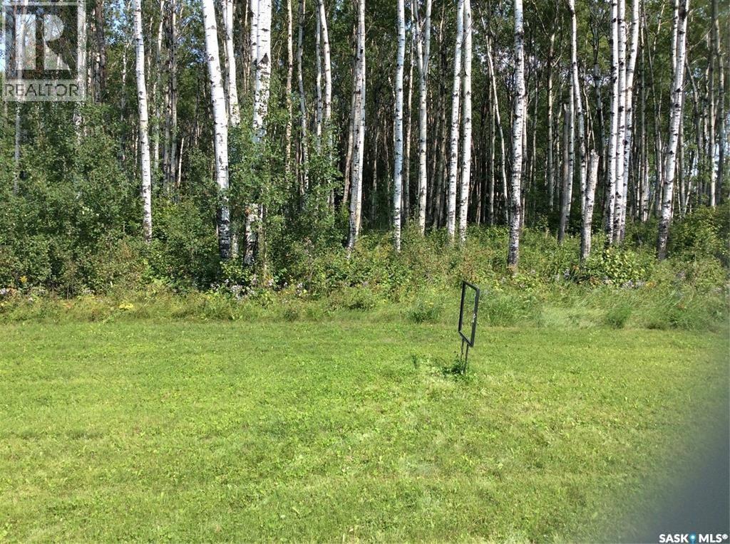 Northwood Shores Lot 13, Delaronde Lake, Saskatchewan  S0J 0E0 - Photo 1 - SK051698