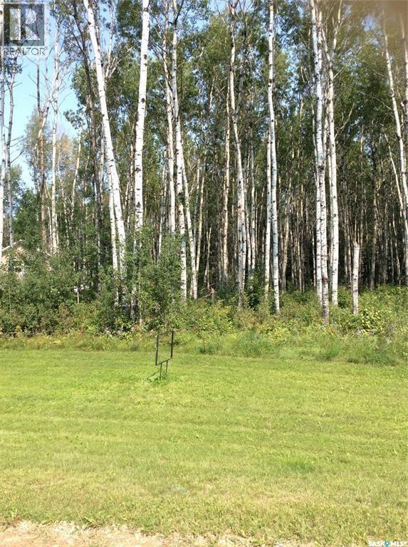 Northwood Shores Lot 13, Delaronde Lake, Saskatchewan  S0J 0E0 - Photo 3 - SK051698