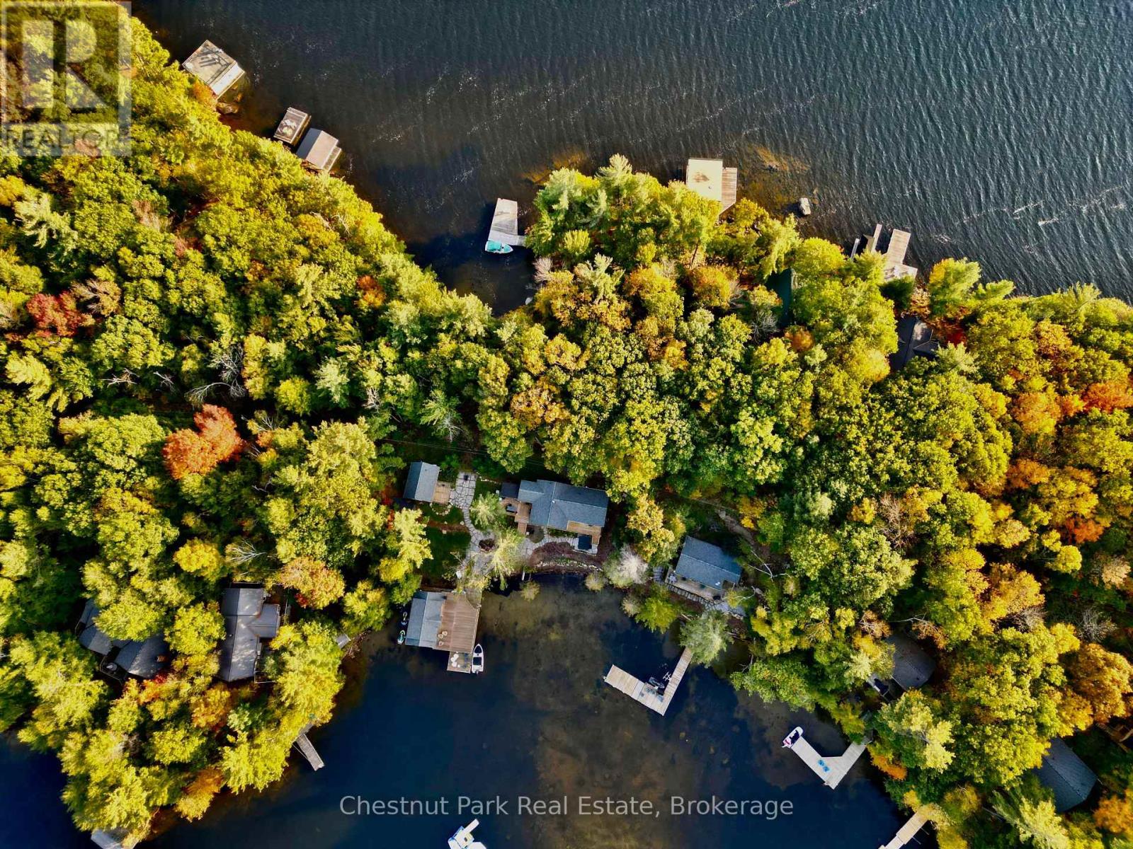 80 Birch Island, Bracebridge, Ontario  P1L 1W5 - Photo 6 - X14104884